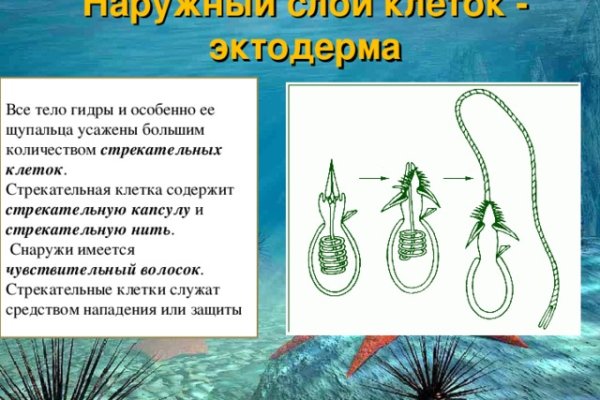 Рабочая ссылка на blacksprut blacksprut wiki